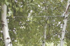 TREE-GRIP™ Dead-end